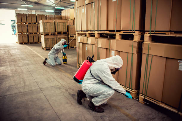 Best Ant Control Services  in Jackson Center, OH