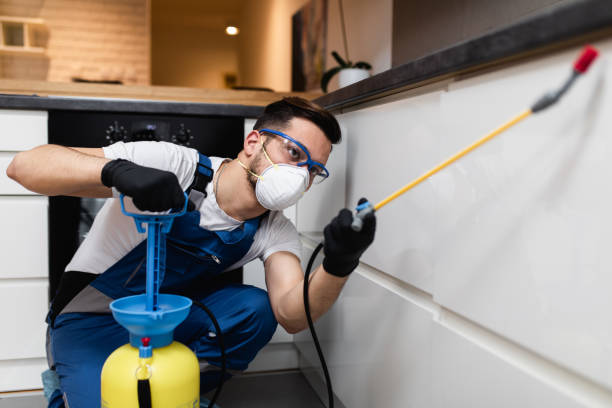 Best Emergency Pest Control  in Jackson Center, OH