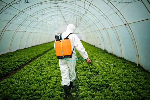 Best Residential Pest Control  in Jackson Center, OH