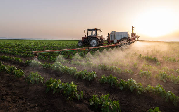 Best Pest Control Treatment  in Jackson Center, OH