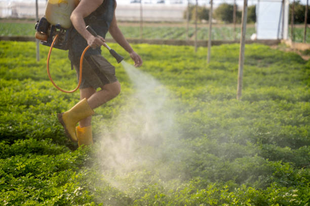 Best Affordable Pest Control Services  in Jackson Center, OH