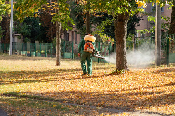 Best Bed Bug Extermination  in Jackson Center, OH