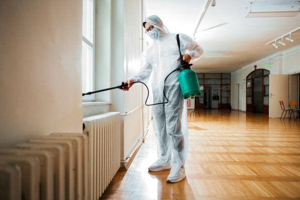Best Ant Control Services  in Jackson Center, OH
