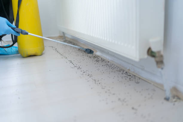 Best Pest Removal Services  in Jackson Center, OH